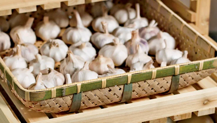 Dry Garlic